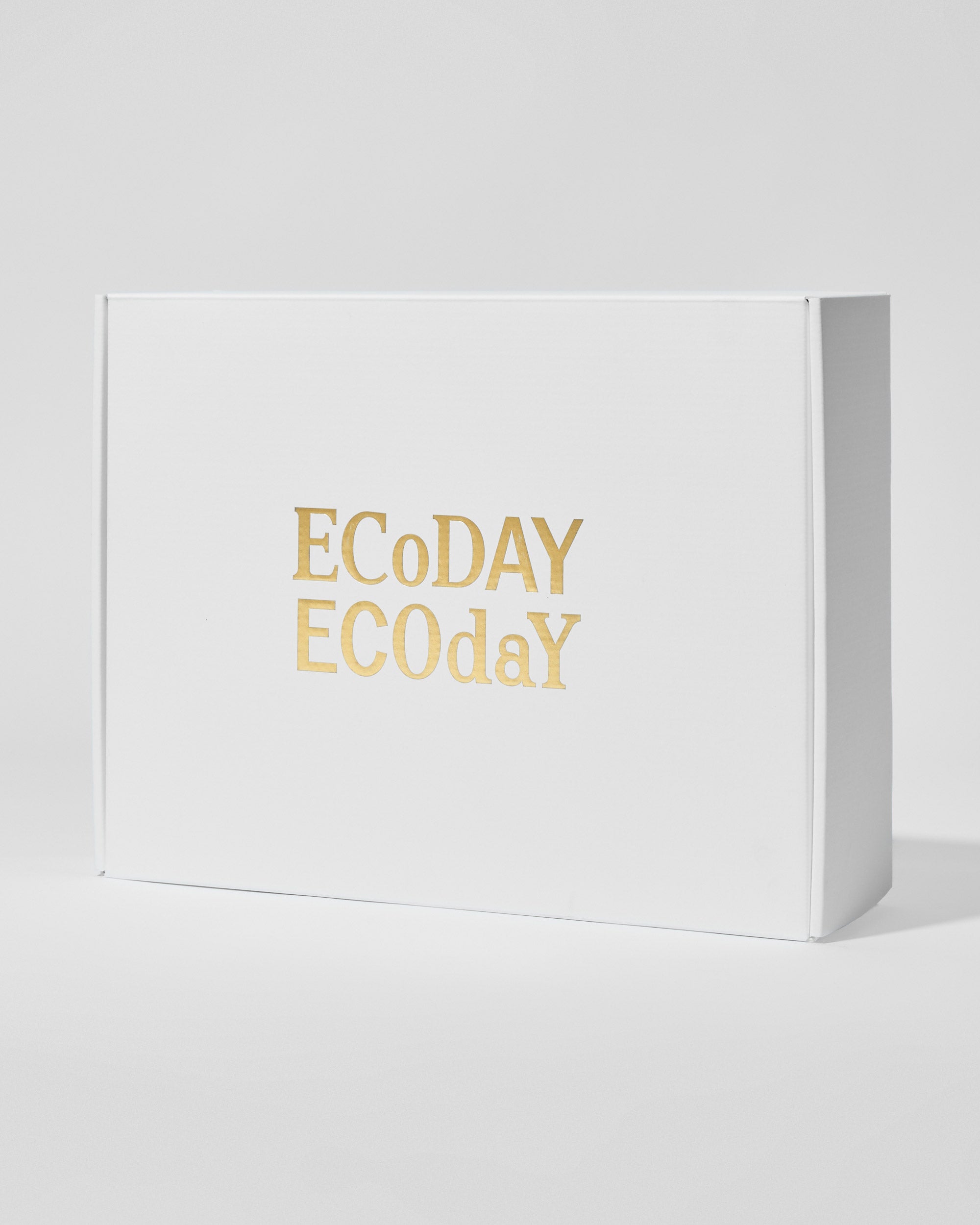Small Woven Bag – ECODAY