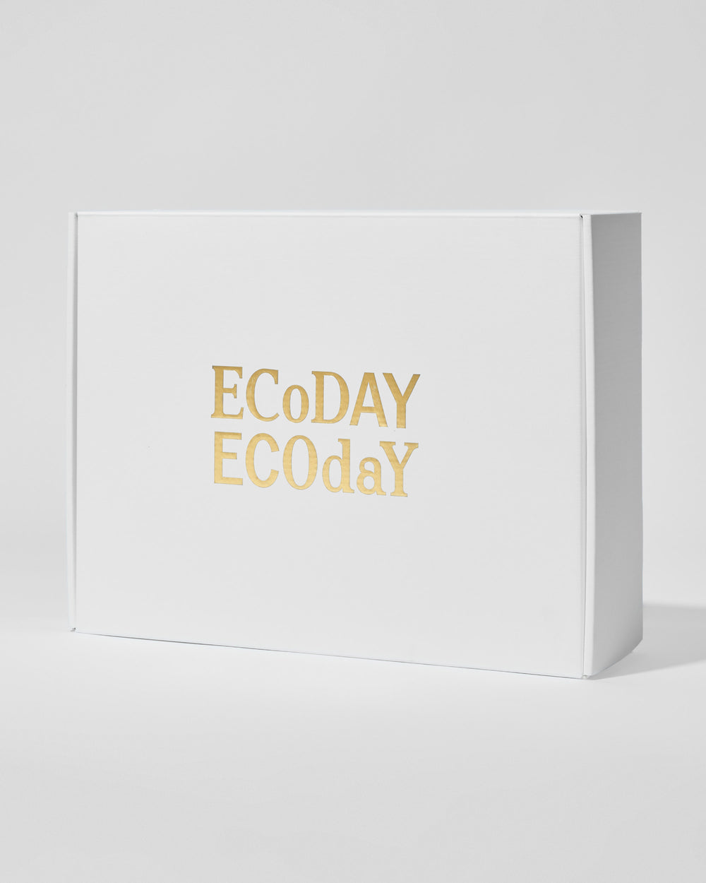 Glossy Woven Tote Bag – ECODAY