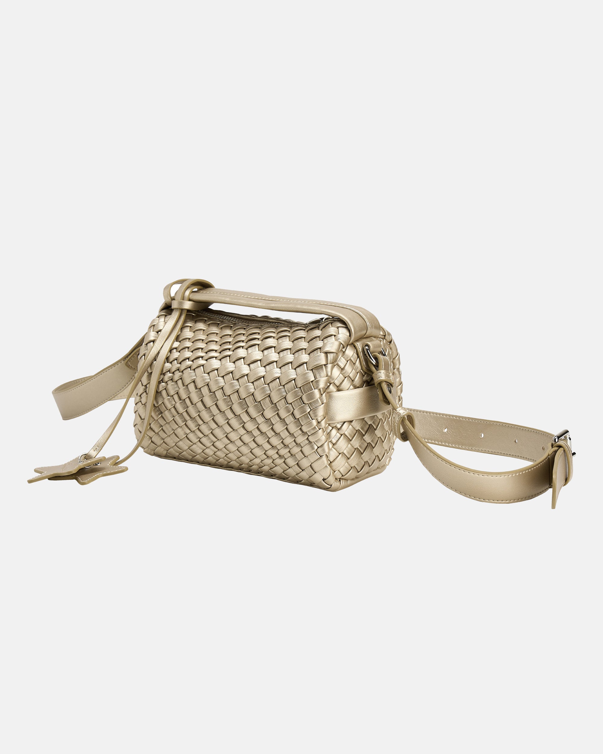 BIO×DINOWORKS BOSTON BAG Woven Boston Bag – ECODAY